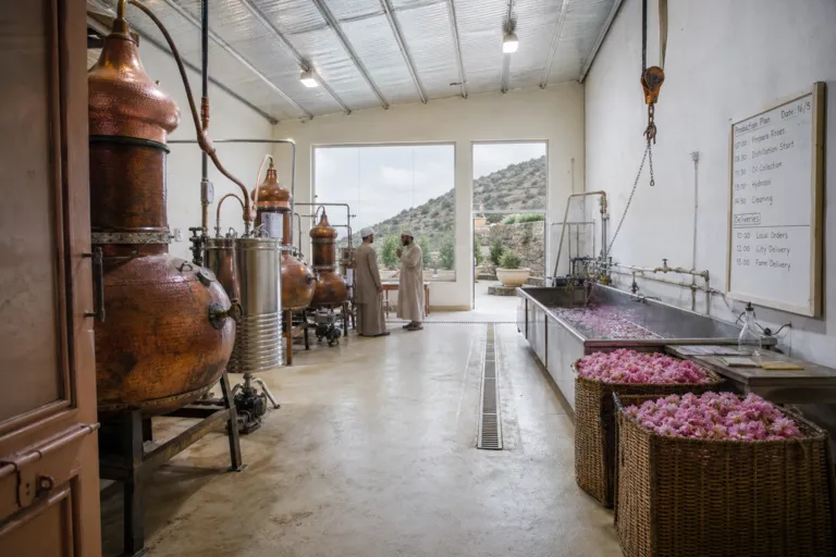 Taif Tourism Advantage: Investing in a Cooler Summer Resort and Rose Economy