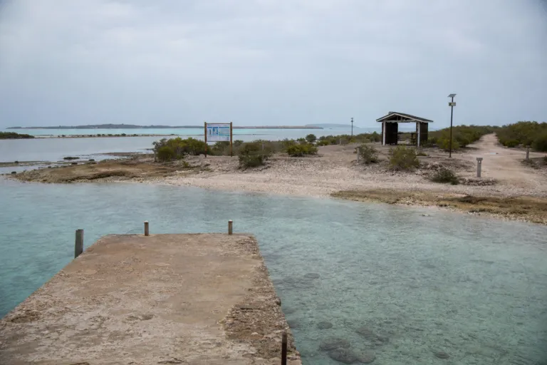 Jazan and the Farasan Islands: A New Coastal Frontier for Jazan Tourism Investment