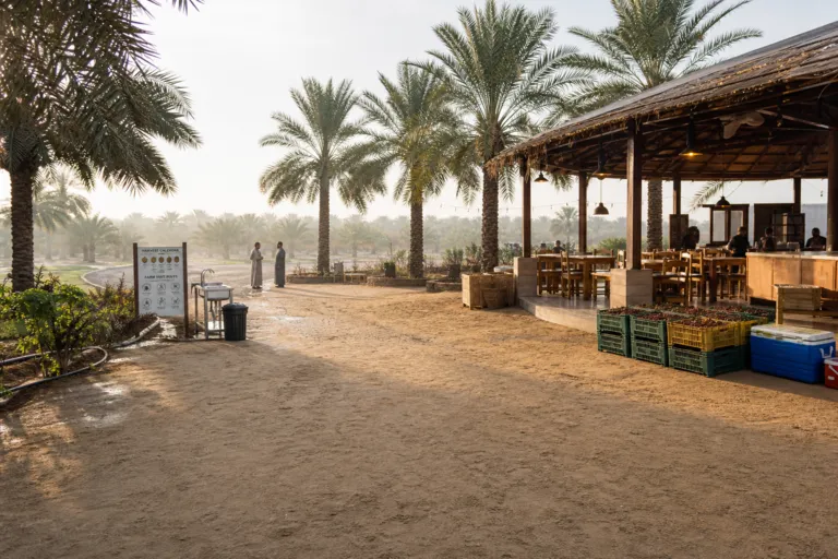 Qassim Agritourism: Date Farms, Festivals, and a Smart Rural Investment Model