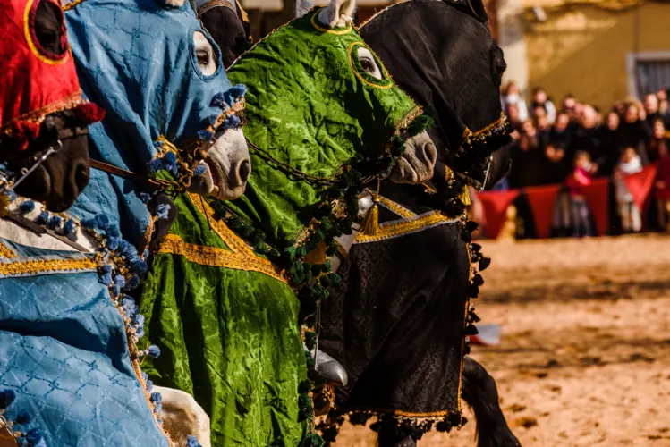 Cultural and Heritage Tourism